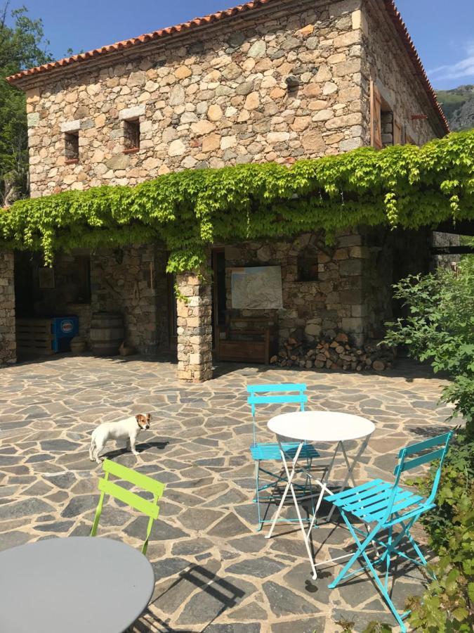 A Muvrella Bed and Breakfast Pioggiola Exteriör bild